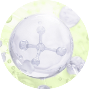 Icono Drosera ramentacea